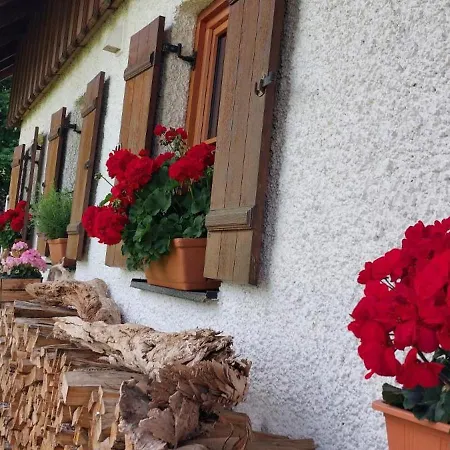 Wohlfuehloase Naehe Gmunden 5min Zum Traunsee Haus Mit 2 Schlafzimmer